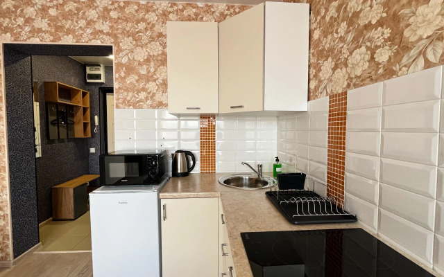 Studiya ryadom s Aeroportom na Piskunova Flat