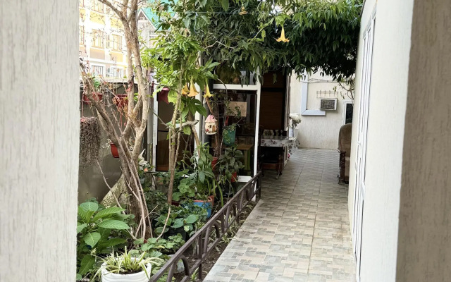 Kiparis Guest House