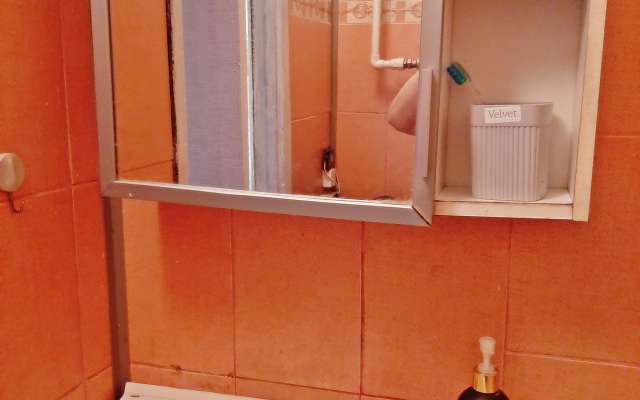 Semeynaya Dlya Bolshoy Semyi Flat