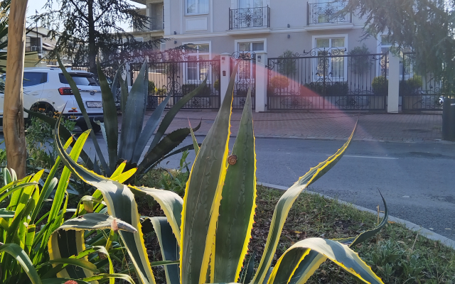 Stil vozle morya Apartments