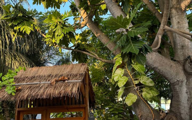 Navaya Dhiffushi Guest house