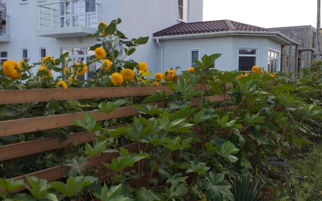 Aleksandrit Guest House