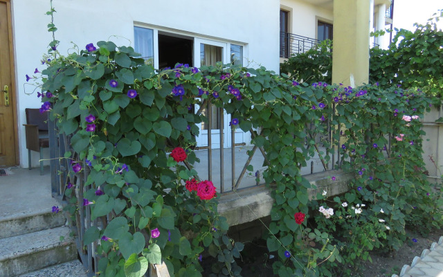 Eco-House Guest House