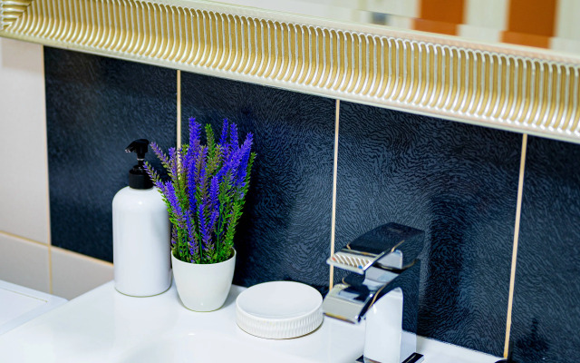 Квартира Видовая в Петербурге Достоевского