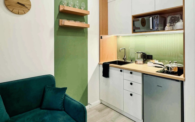 Studiya S Dizaynerskim Remontom Flat