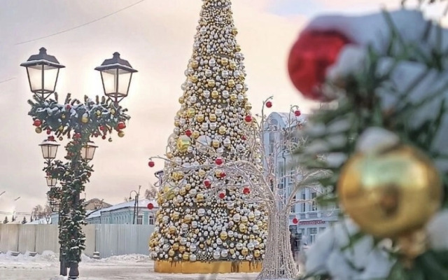 Частный дом В гостях у Алешина А.А.