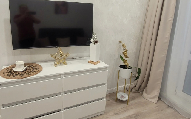 Uyutnaya kvartira s vidom na zasnezhennye gory Flat
