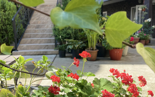 Allegro Home Guest House