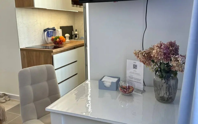 Studiya V Zhzh Prokshino Flat