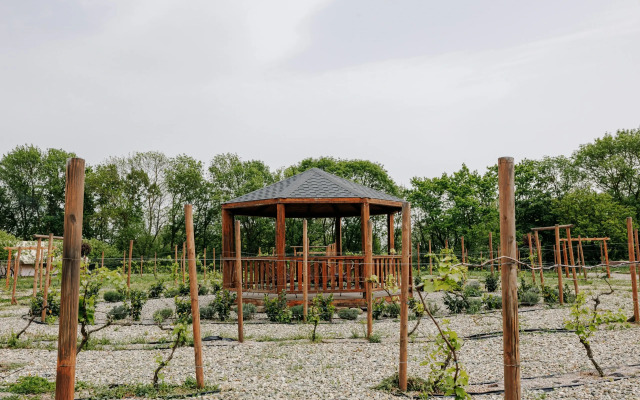 Apparadise Glamping&Spa