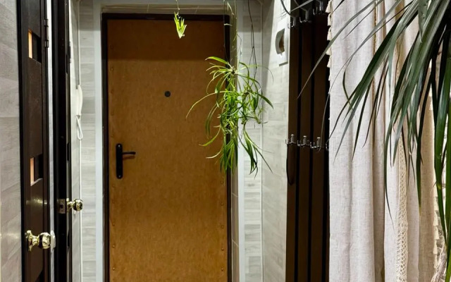 Апартаменты В центре города