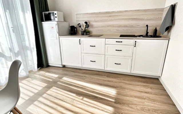 Квартира Елена Озерки