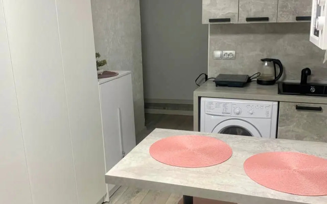 Апартаменты Студия N1 на Петроградке