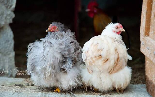 Вилла La Ville Tanet