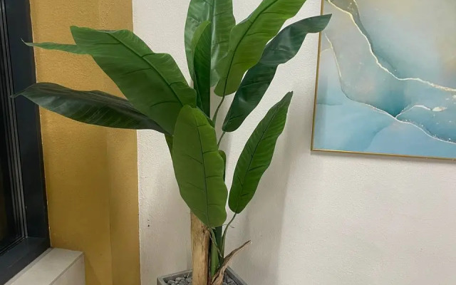 Апартаменты Уютная однушка