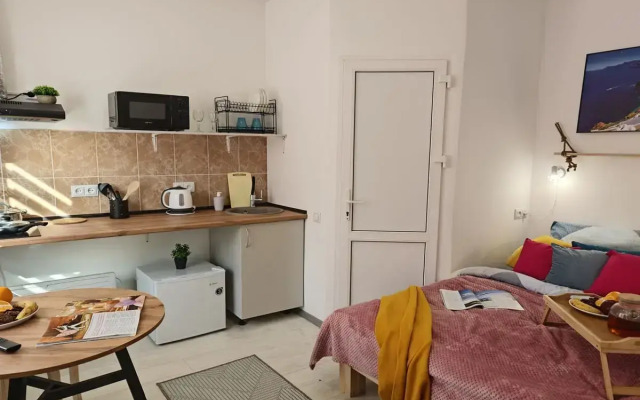 Квартира Студия на 2х по Тухачевского 49/2-22