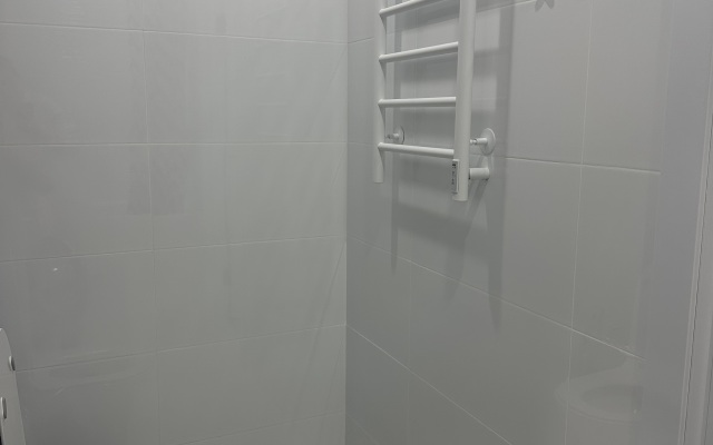S Sovremennymi Remontom Flat