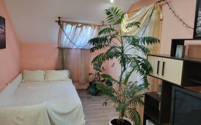 Гостевой Дом с Бочкой Фурако