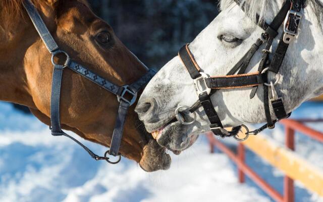 Отель Загородный клуб