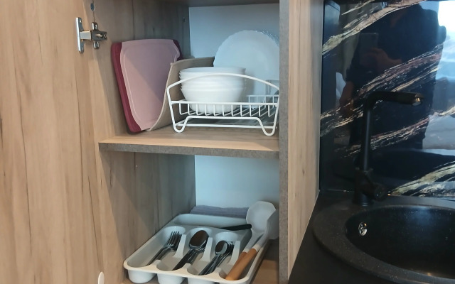 Апартаменты Заневский