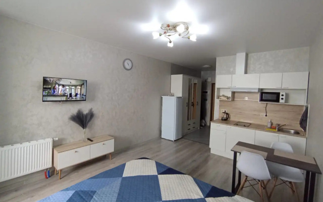 Квартира Уютная студия