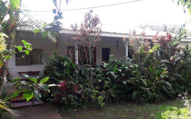Rapa Nui Native Hostel Mini-Hotel