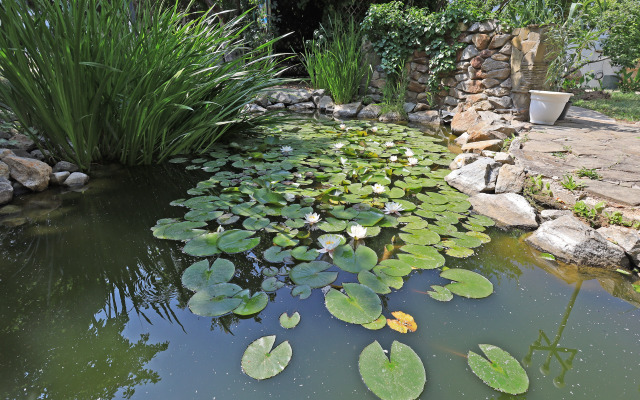 Гостевой дом Парк-отель Казантип Центр