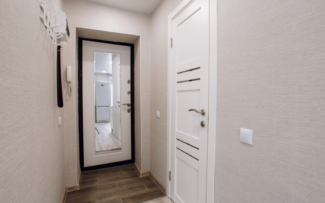 Tolstoy Krasnoarmeyskiy 8 Flat