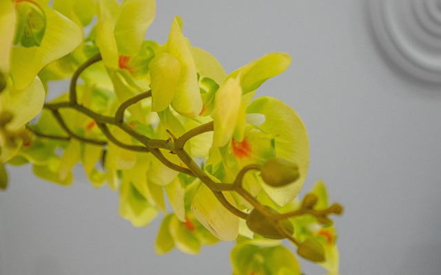 Апартаменты Люкс by Mangosteen Apartments