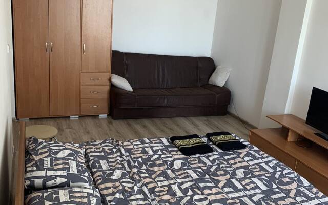 Апартаменты Королевские ворота в центре светлые и уютные