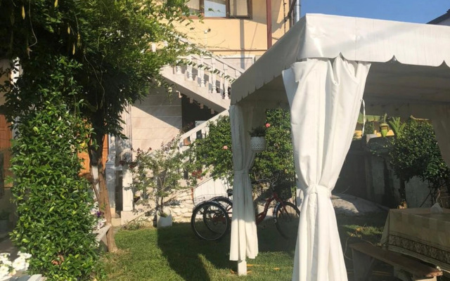 Dzhungli Guest house