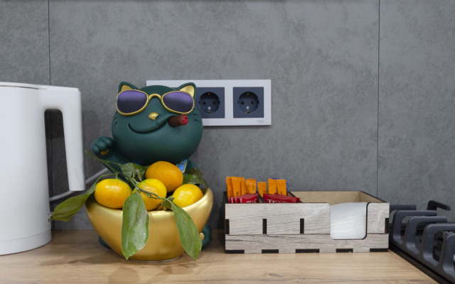 Квартира 1-комнатная на Новогородской