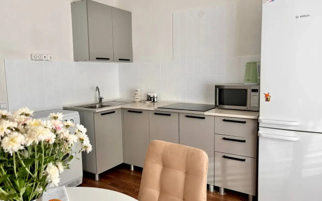 Atmosfernaya V Tsentre Levogo Berega Apartments