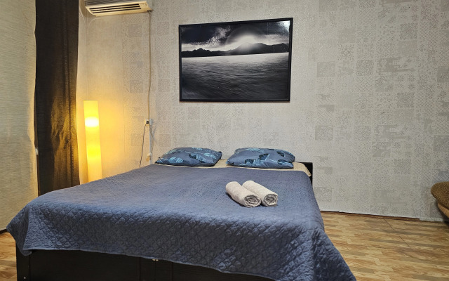 Апартаменты Центр Воронежа , Около Галереи Чижова