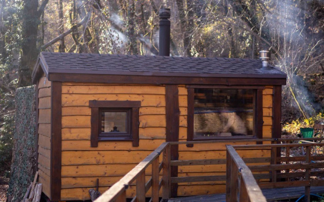 Шале A-Frame Forrest