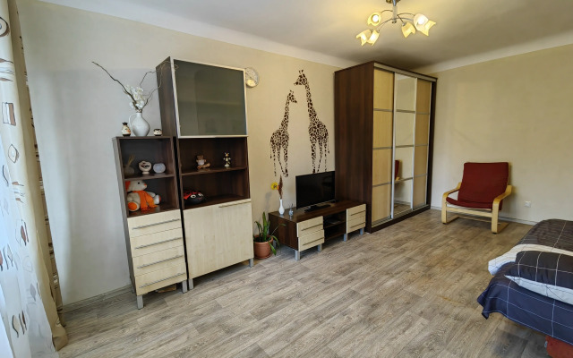 Квартира на Большевистской 41