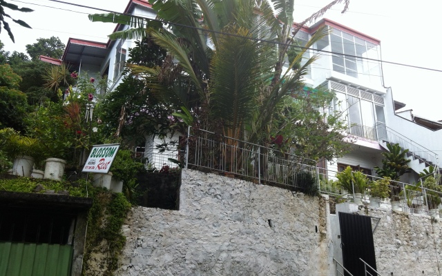 Blossom Rest Guest House