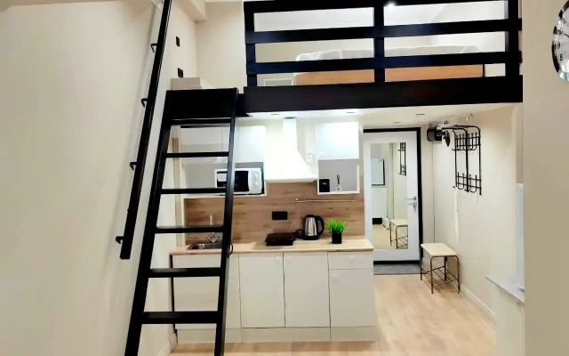 Апартаменты Двухуровневые апартаменты на Ольминского