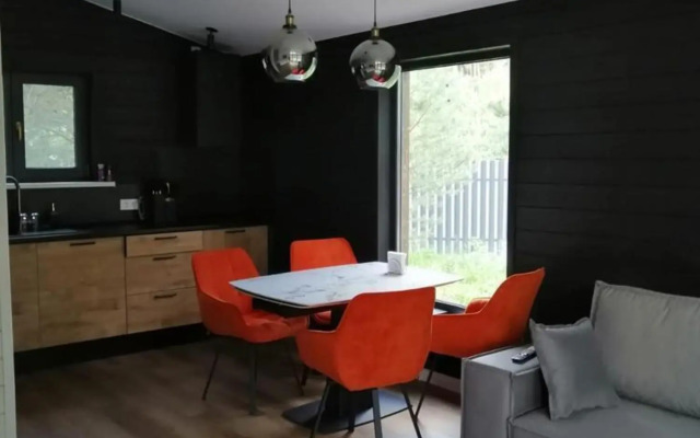 Частный дом в Сосновом Лесу