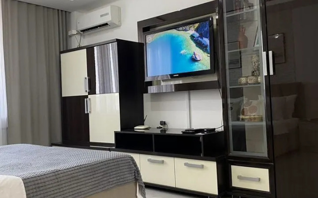 Квартира на Чкалова 65 (2/11)