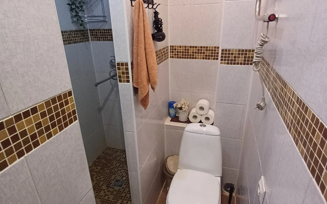 Апартаменты Чайка House на Нижегородская 10