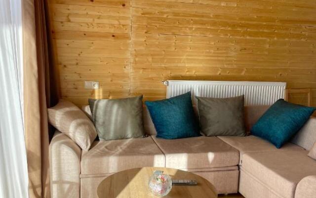 Gostevoy Dom Twin Cottages Kazbegi