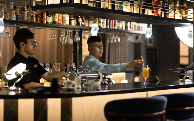 Hotel Aviator Sheremetyevo
