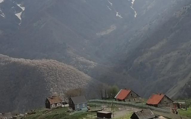 Квартира по дороге Шелкового пути