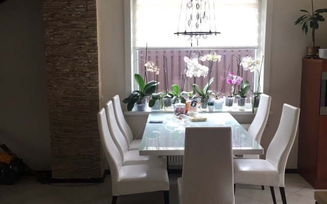 Alma Guest House
