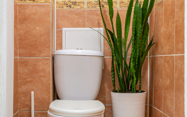 Апартаменты Светлый дом на Сенной