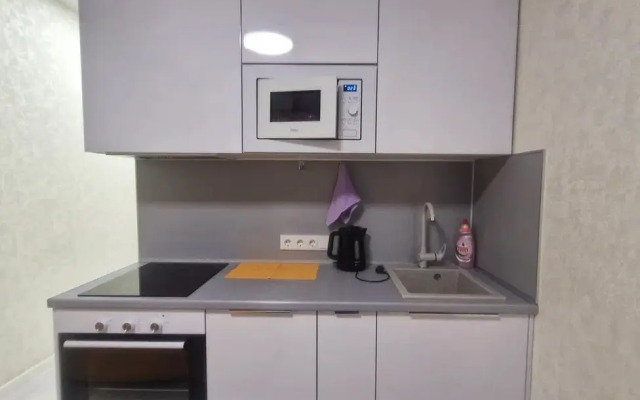 Vidovye Na Ul Akademika Kargina Apartments