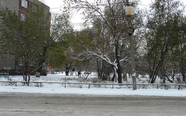 Апартаменты в Деловом Центре