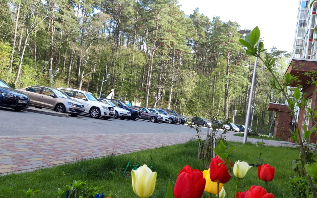 Апартаменты Синяя Птица