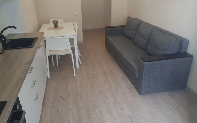 Апартаменты с Видом на Озеро Чебаркуль 1